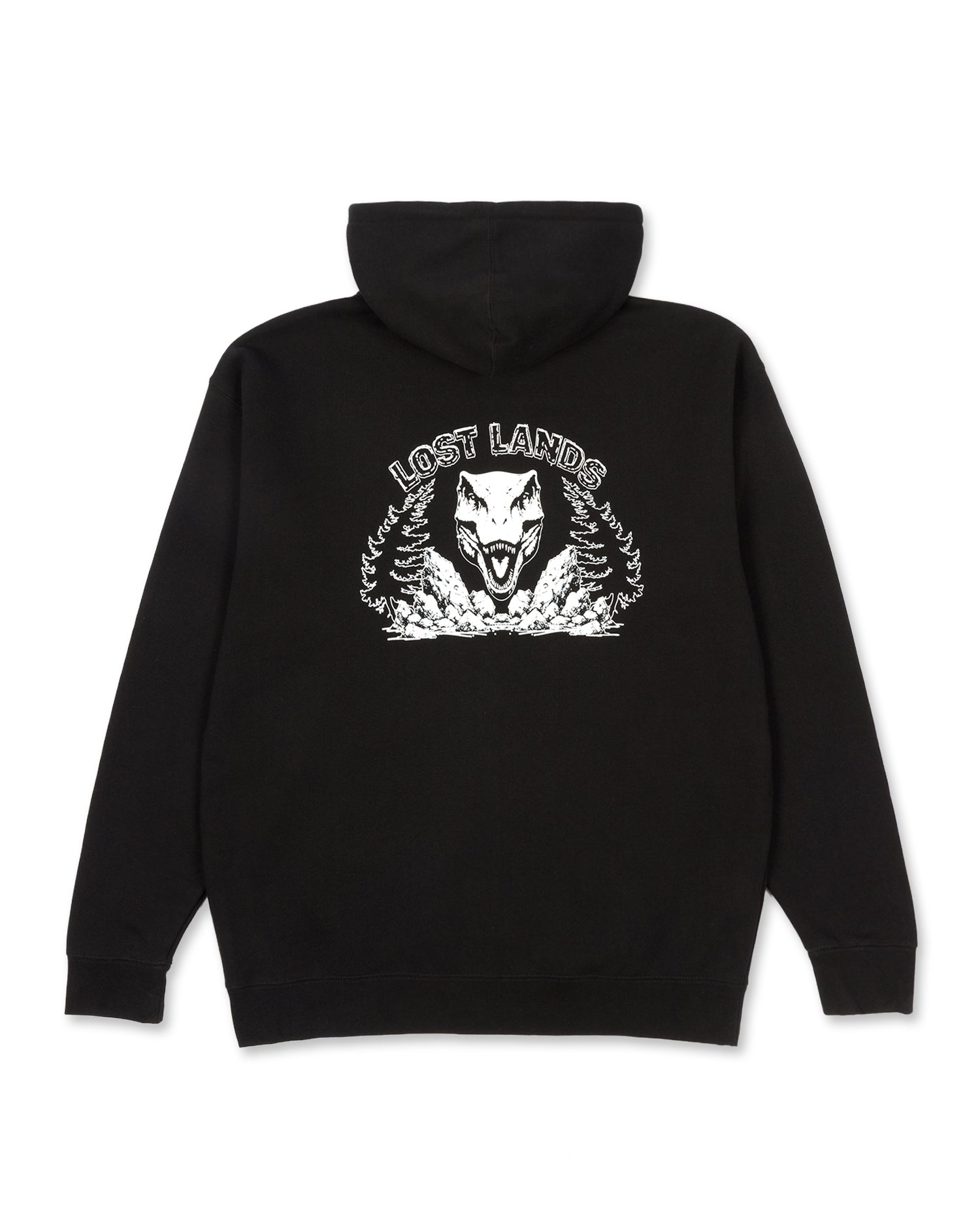 Lost Lands 2025 Zip Hoodie